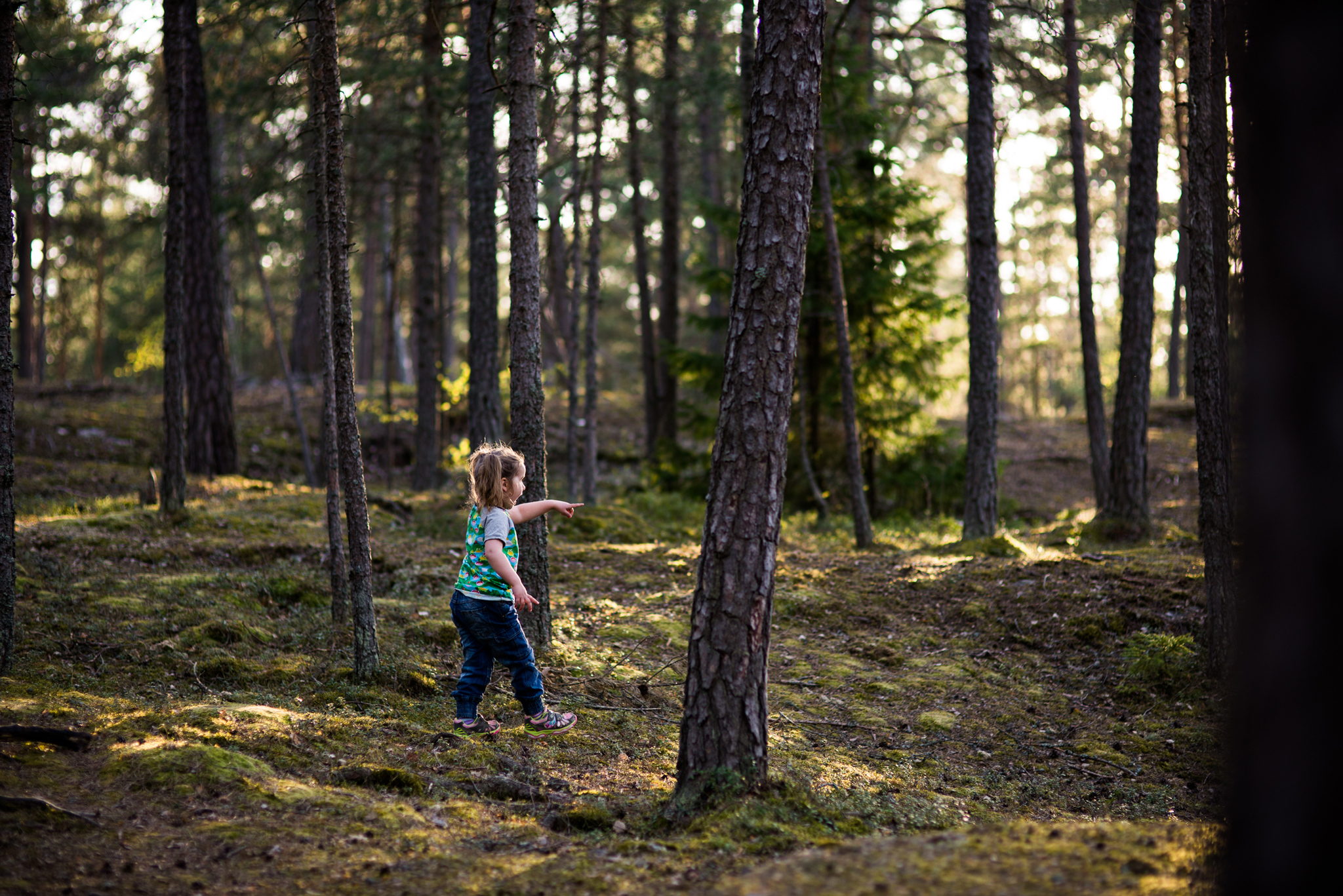 family photographer sweden
