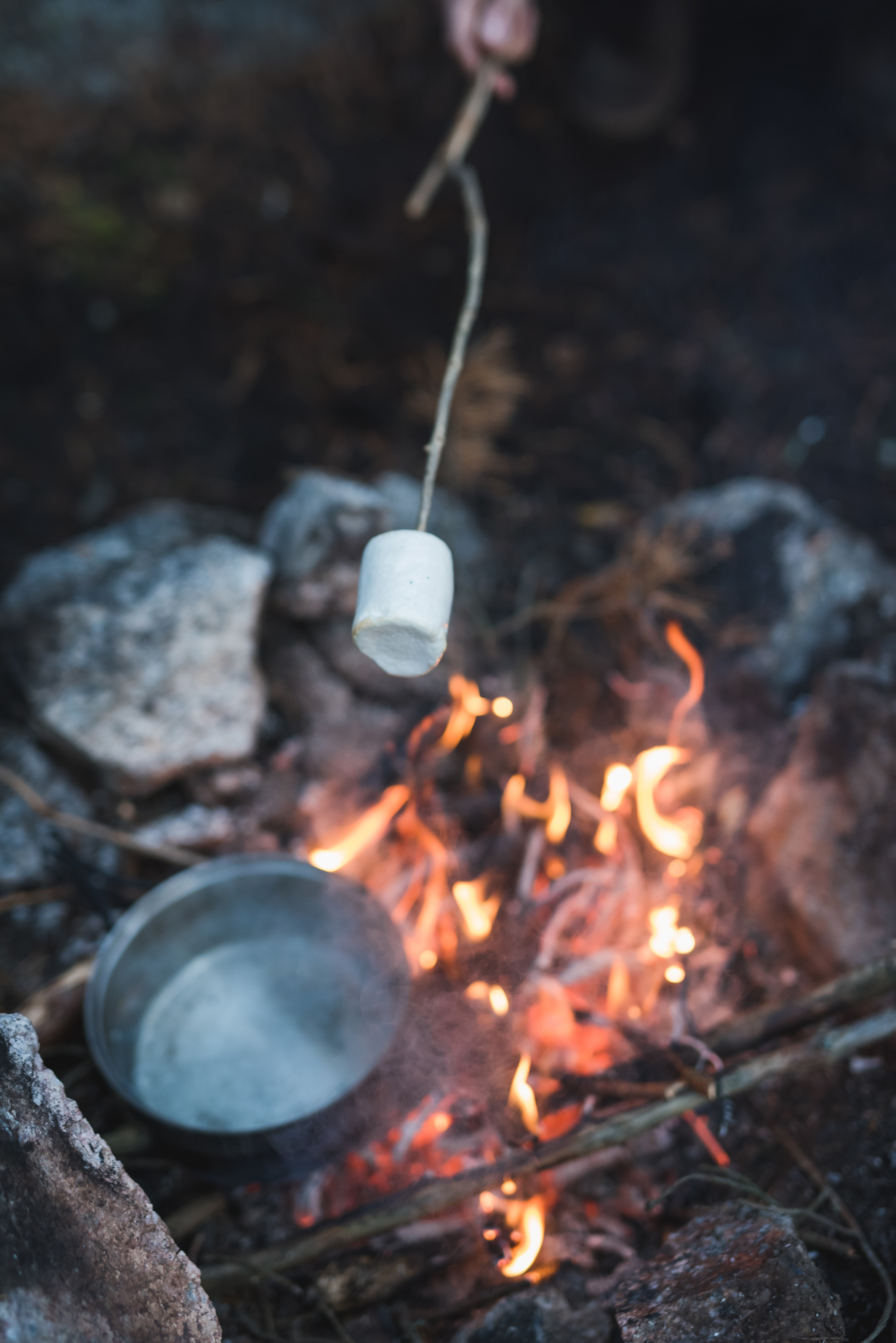 grilled marshmallows